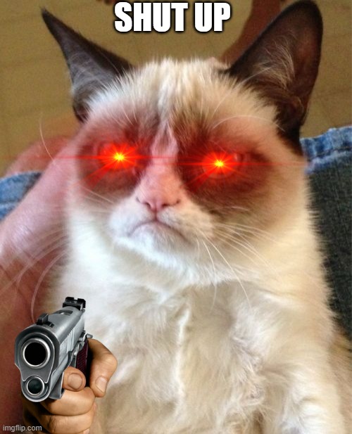 Grumpy Cat Meme | SHUT UP | image tagged in memes,grumpy cat | made w/ Imgflip meme maker