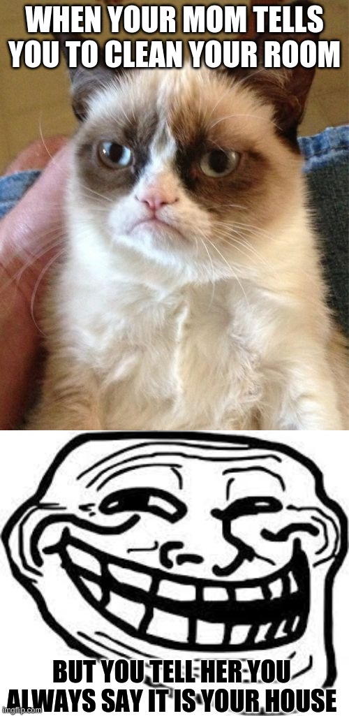 trolll | WHEN YOUR MOM TELLS YOU TO CLEAN YOUR ROOM; BUT YOU TELL HER YOU ALWAYS SAY IT IS YOUR HOUSE | image tagged in memes,grumpy cat | made w/ Imgflip meme maker