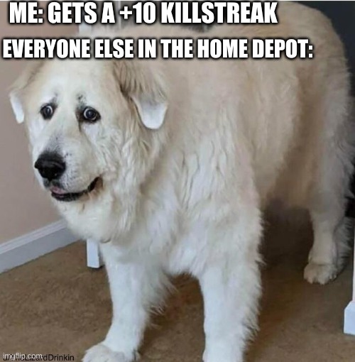 scared dog |  ME: GETS A +10 KILLSTREAK; EVERYONE ELSE IN THE HOME DEPOT: | image tagged in scared dog | made w/ Imgflip meme maker