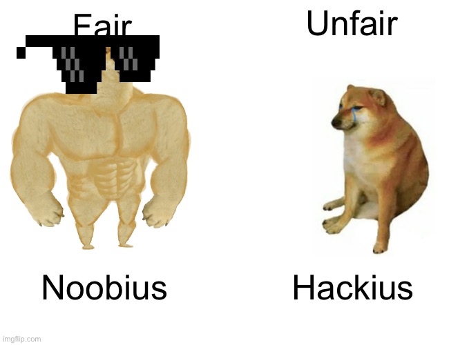 Buff Doge vs. Cheems Meme | Unfair; Fair; Noobius; Hackius | image tagged in memes,buff doge vs cheems | made w/ Imgflip meme maker