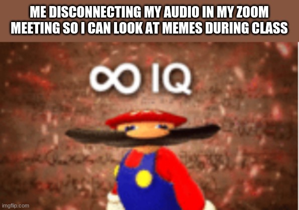 Infinite IQ | ME DISCONNECTING MY AUDIO IN MY ZOOM MEETING SO I CAN LOOK AT MEMES DURING CLASS | image tagged in infinite iq | made w/ Imgflip meme maker