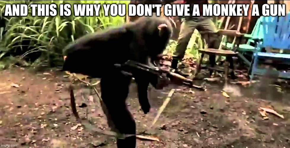 Monkey with Machine Gun | AND THIS IS WHY YOU DON'T GIVE A MONKEY A GUN | image tagged in monkey with machine gun | made w/ Imgflip meme maker