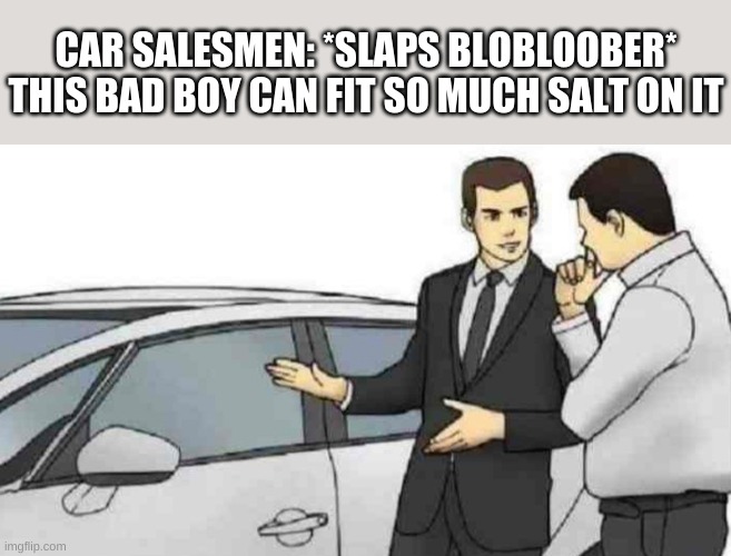 S A L T Y | CAR SALESMEN: *SLAPS BLOBLOOBER* THIS BAD BOY CAN FIT SO MUCH SALT ON IT | image tagged in memes,car salesman slaps roof of car | made w/ Imgflip meme maker