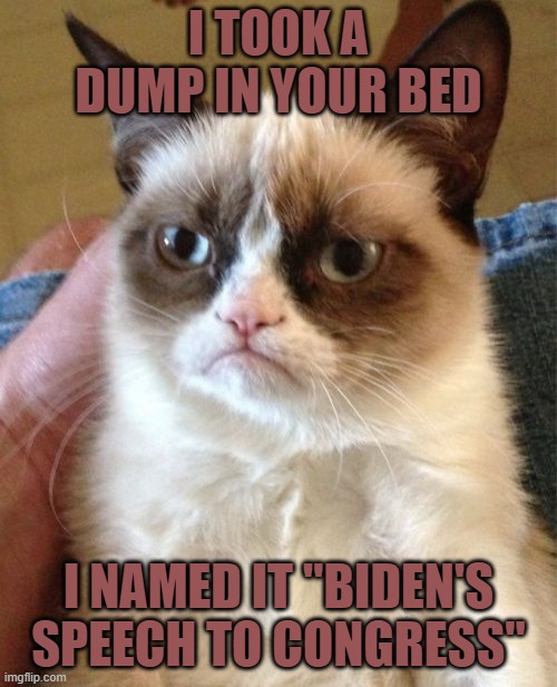 Grumpy Cat | I TOOK A DUMP IN YOUR BED; I NAMED IT "BIDEN'S SPEECH TO CONGRESS" | image tagged in memes,grumpy cat | made w/ Imgflip meme maker