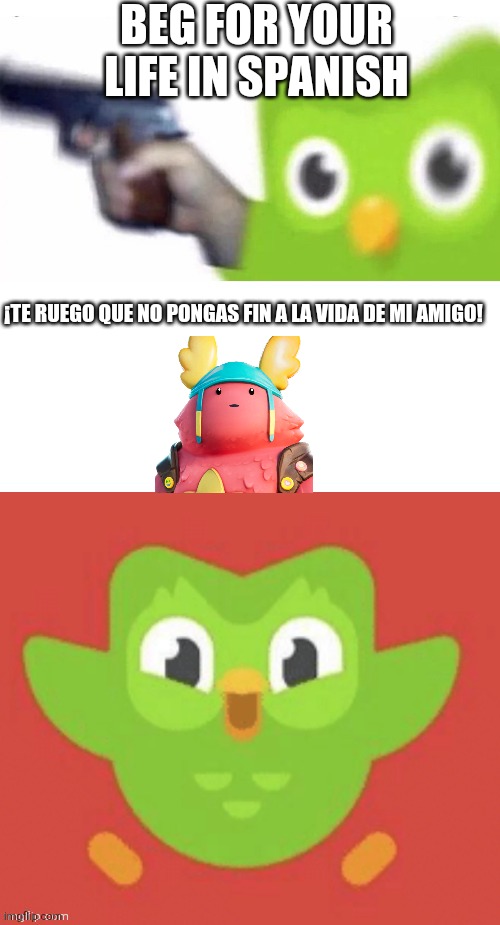Scared Duolingo Bird | BEG FOR YOUR LIFE IN SPANISH ¡TE RUEGO QUE NO PONGAS FIN A LA VIDA DE MI AMIGO! | image tagged in scared duolingo bird | made w/ Imgflip meme maker