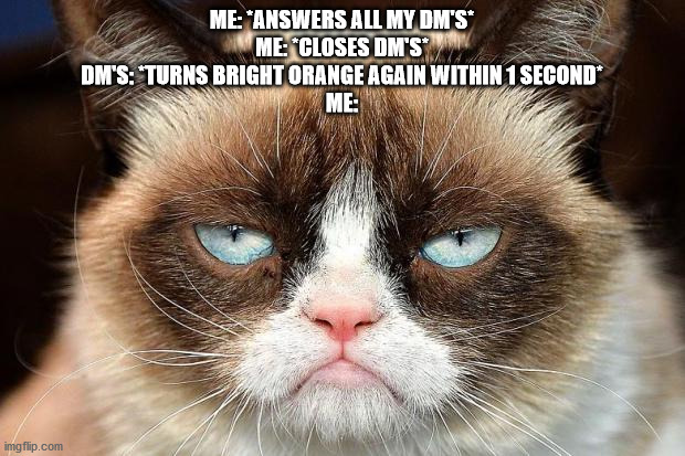 Grumpy Cat Not Amused Meme | ME: *ANSWERS ALL MY DM'S*
ME: *CLOSES DM'S*
DM'S: *TURNS BRIGHT ORANGE AGAIN WITHIN 1 SECOND*
ME: | image tagged in memes,grumpy cat not amused,grumpy cat | made w/ Imgflip meme maker