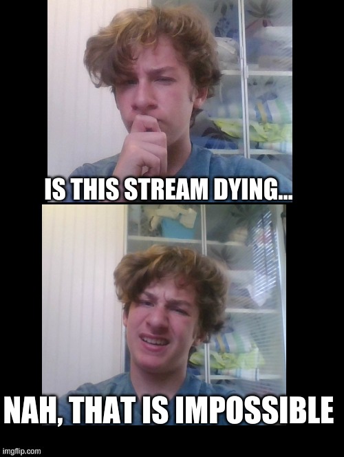 IMPOSSIBLE I SAY | IS THIS STREAM DYING... NAH, THAT IS IMPOSSIBLE | image tagged in hmmm no,impossible | made w/ Imgflip meme maker