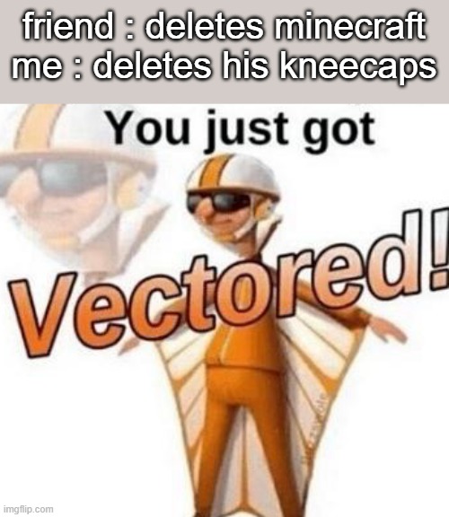 vector | friend : deletes minecraft
me : deletes his kneecaps | image tagged in you just got vectored | made w/ Imgflip meme maker