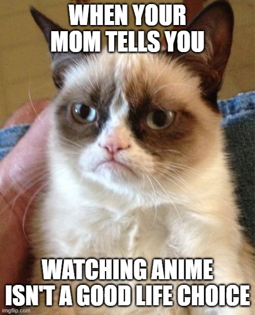 Grumpy Cat | WHEN YOUR MOM TELLS YOU; WATCHING ANIME ISN'T A GOOD LIFE CHOICE | image tagged in memes,grumpy cat | made w/ Imgflip meme maker