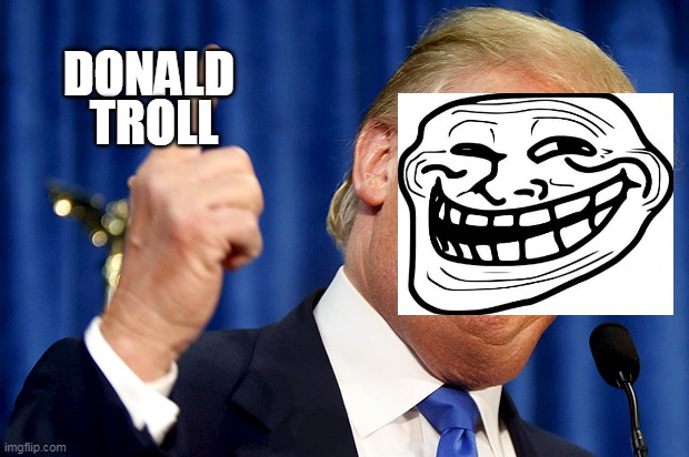 Donald Trump | TROLL; DONALD | image tagged in donald trump | made w/ Imgflip meme maker