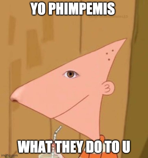 Phimpseswrs | YO PHIMPEMIS; WHAT THEY DO TO U | image tagged in phineas and ferb,cursed image | made w/ Imgflip meme maker