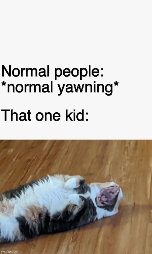 Yawn | Normal people: *normal yawning*; That one kid: | image tagged in cats,yawn,dank memes | made w/ Imgflip meme maker