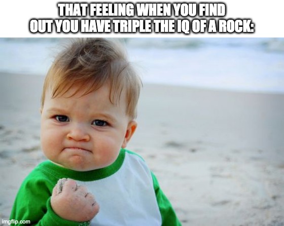oh yeah! | THAT FEELING WHEN YOU FIND OUT YOU HAVE TRIPLE THE IQ OF A ROCK: | image tagged in memes,success kid original | made w/ Imgflip meme maker