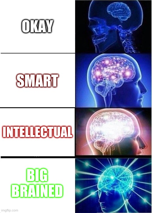 Expanding Brain | OKAY; SMART; INTELLECTUAL; BIG BRAINED | image tagged in memes,expanding brain | made w/ Imgflip meme maker