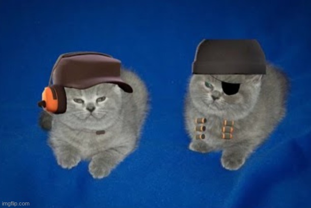 two of em, | made w/ Imgflip meme maker