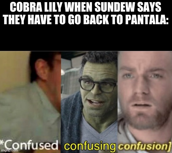 very confuzled | COBRA LILY WHEN SUNDEW SAYS THEY HAVE TO GO BACK TO PANTALA: | image tagged in wings of fire,funy | made w/ Imgflip meme maker