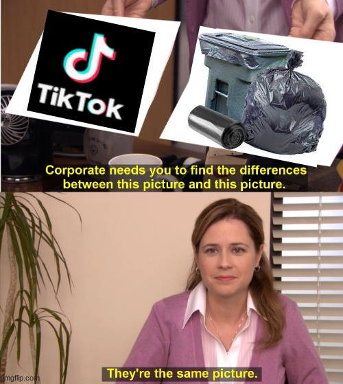 There the same thing | image tagged in there the same image | made w/ Imgflip meme maker
