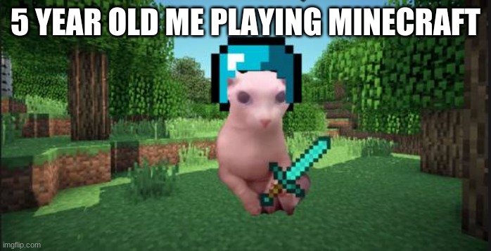 Minecraft bingus | 5 YEAR OLD ME PLAYING MINECRAFT | image tagged in minecraft bingus | made w/ Imgflip meme maker
