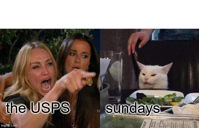 the USPS logic lol | the USPS; sundays | image tagged in memes,woman yelling at cat | made w/ Imgflip meme maker