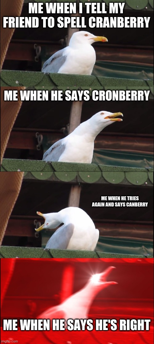 It's not cronberry or canberry! | ME WHEN I TELL MY FRIEND TO SPELL CRANBERRY; ME WHEN HE SAYS CRONBERRY; ME WHEN HE TRIES AGAIN AND SAYS CANBERRY; ME WHEN HE SAYS HE'S RIGHT | image tagged in memes,inhaling seagull | made w/ Imgflip meme maker