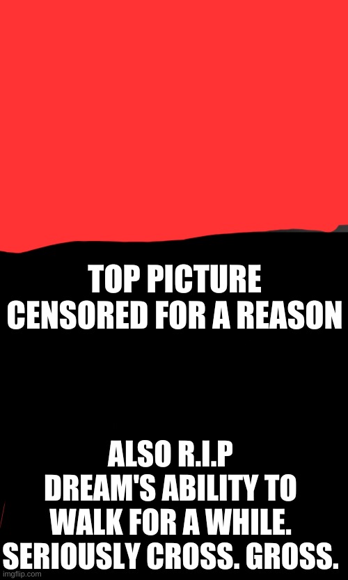 and no, I'm not sending link to the uncensored photo unless you ask REALLY politely in the comments. | TOP PICTURE CENSORED FOR A REASON; ALSO R.I.P DREAM'S ABILITY TO WALK FOR A WHILE. SERIOUSLY CROSS. GROSS. | image tagged in memes,blank transparent square | made w/ Imgflip meme maker