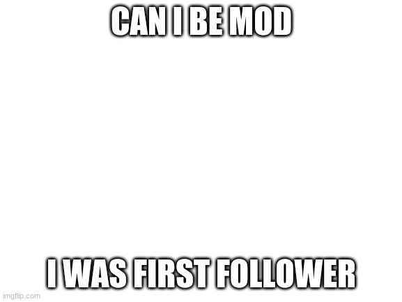 plz |  CAN I BE MOD; I WAS FIRST FOLLOWER | image tagged in blank white template | made w/ Imgflip meme maker