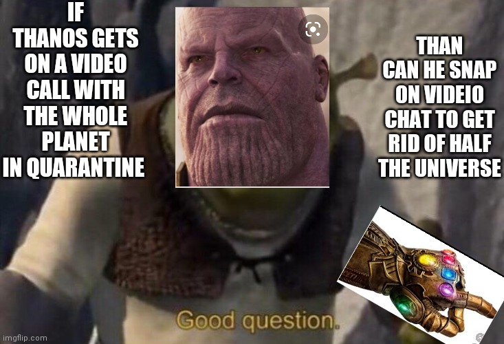 HMMMMMMM | IF THANOS GETS ON A VIDEO CALL WITH THE WHOLE PLANET IN QUARANTINE; THAN CAN HE SNAP ON VIDEIO CHAT TO GET RID OF HALF THE UNIVERSE | image tagged in shrek good question,thanos,shrek | made w/ Imgflip meme maker