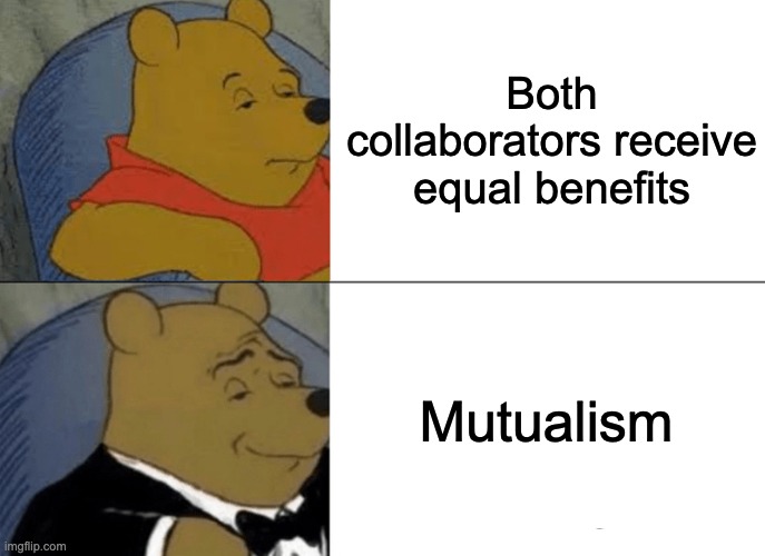 Tuxedo Winnie The Pooh Meme | Both collaborators receive equal benefits; Mutualism | image tagged in memes,tuxedo winnie the pooh | made w/ Imgflip meme maker