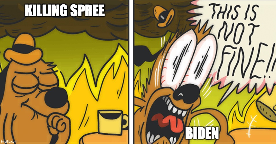 This is not fine | KILLING SPREE BIDEN | image tagged in this is not fine | made w/ Imgflip meme maker