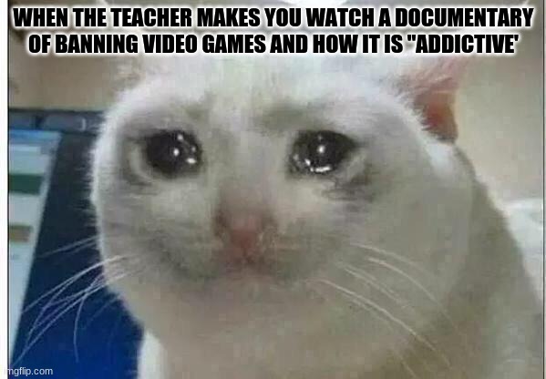 I will show the boomers CRAZY | WHEN THE TEACHER MAKES YOU WATCH A DOCUMENTARY OF BANNING VIDEO GAMES AND HOW IT IS "ADDICTIVE' | image tagged in crying cat | made w/ Imgflip meme maker