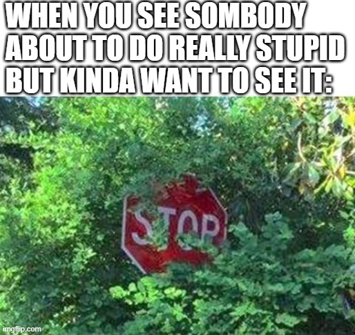 I told them not to do it. | WHEN YOU SEE SOMBODY ABOUT TO DO REALLY STUPID BUT KINDA WANT TO SEE IT: | image tagged in funny,meme,stupid people | made w/ Imgflip meme maker