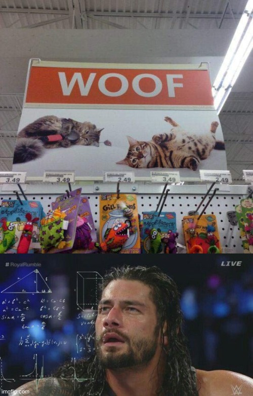 didnt know cats said woof | image tagged in calculating roman reigns | made w/ Imgflip meme maker