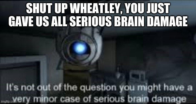 Wheatley Serious Braindamage |  SHUT UP WHEATLEY, YOU JUST GAVE US ALL SERIOUS BRAIN DAMAGE | image tagged in wheatley serious braindamage | made w/ Imgflip meme maker