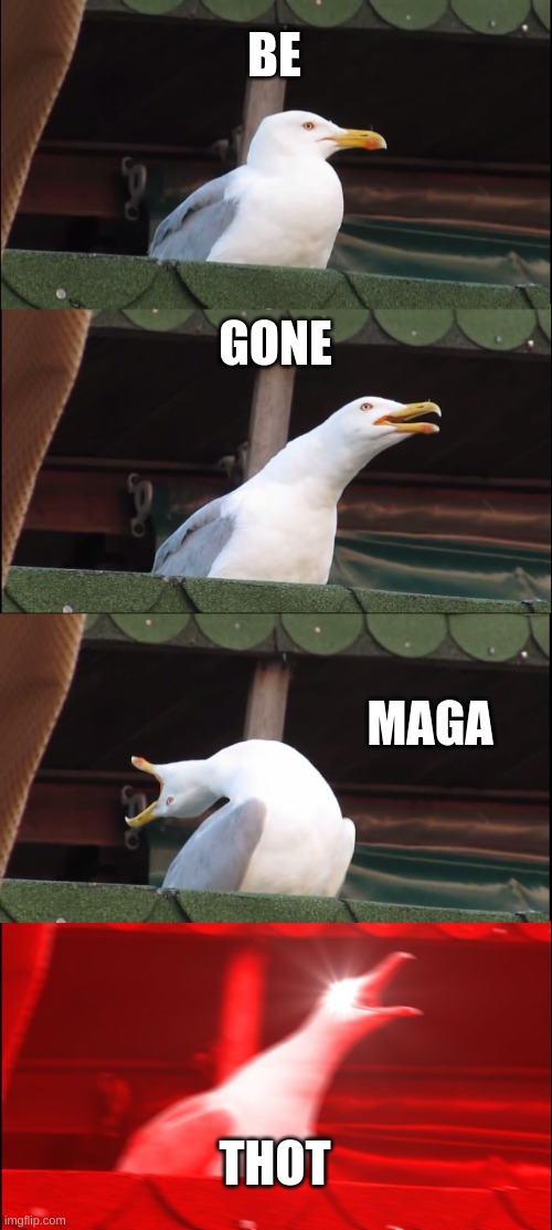 BE GONE MAGA THOT | image tagged in memes,inhaling seagull | made w/ Imgflip meme maker