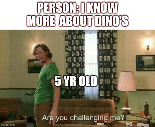 Are you challenging me? | PERSON: I KNOW MORE  ABOUT DINO'S; 5 YR OLD | image tagged in are you challenging me | made w/ Imgflip meme maker