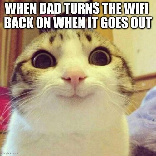 WIFI HAPPINESS | WHEN DAD TURNS THE WIFI 
BACK ON WHEN IT GOES OUT | image tagged in memes,smiling cat,so true memes | made w/ Imgflip meme maker