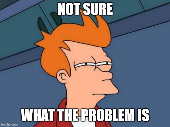 Futurama Fry Meme | NOT SURE; WHAT THE PROBLEM IS | image tagged in memes,futurama fry | made w/ Imgflip meme maker