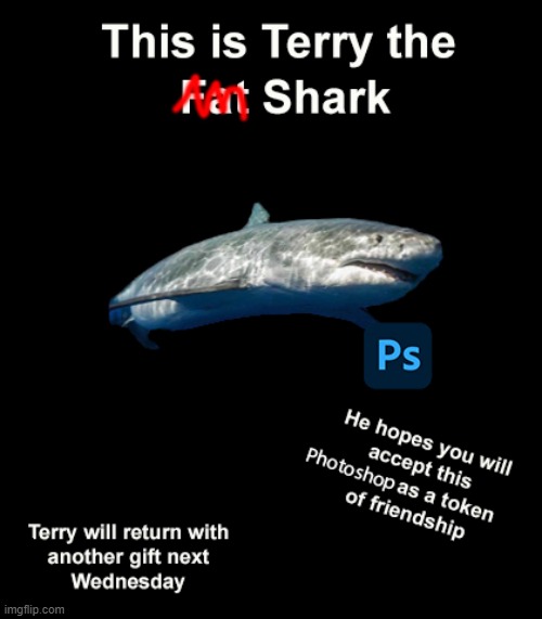 image tagged in shark | made w/ Imgflip meme maker