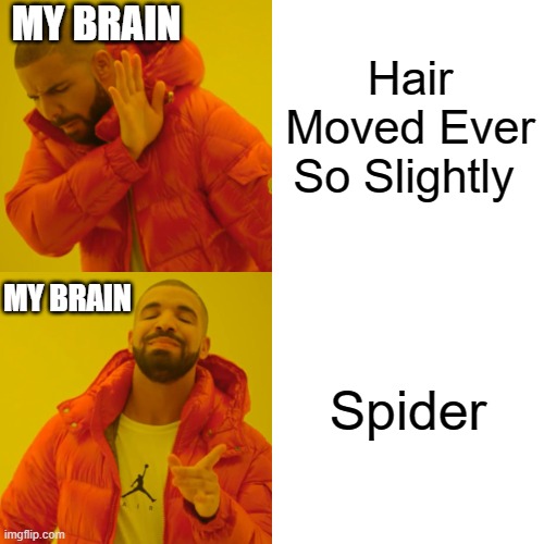 I hate my brain | MY BRAIN; Hair Moved Ever So Slightly; MY BRAIN; Spider | image tagged in memes,drake hotline bling | made w/ Imgflip meme maker