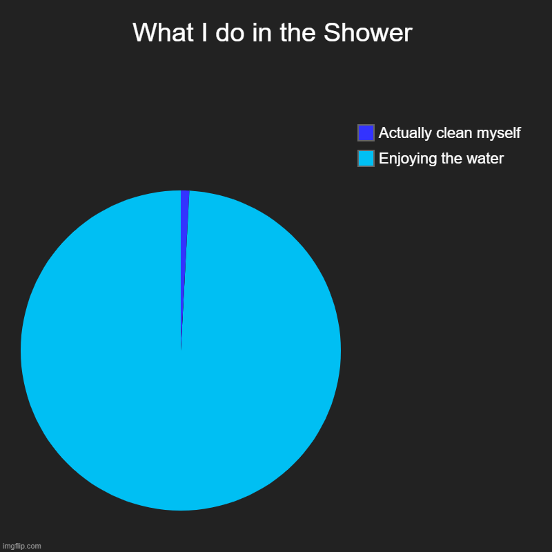 What I do in the Shower | Enjoying the water, Actually clean myself | image tagged in charts,pie charts | made w/ Imgflip chart maker