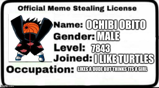 ye | OCHIBI OBITO; MALE; 7843; I LIKE TURTLES; LIKES A DUDE BUT THINKS ITS A GIRL | image tagged in meme stealing license | made w/ Imgflip meme maker