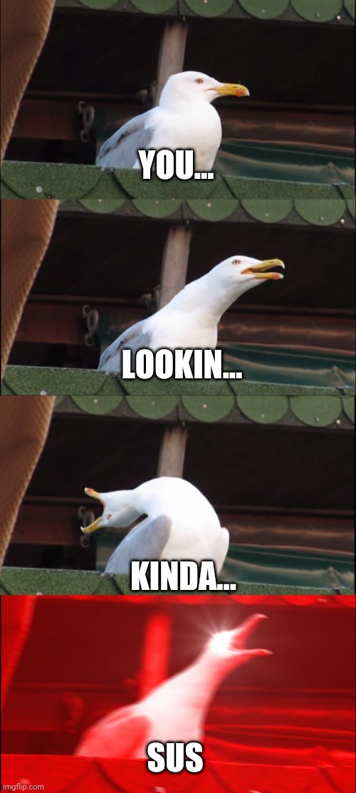 Inhaling Seagull Meme |  YOU... LOOKIN... KINDA... SUS | image tagged in memes,inhaling seagull | made w/ Imgflip meme maker