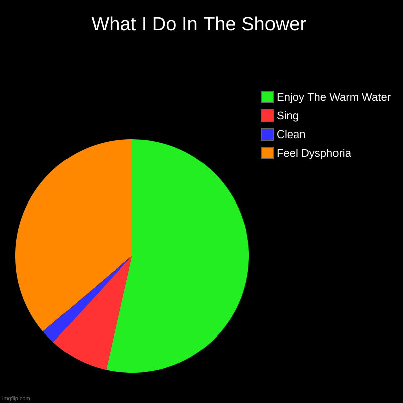 idk i'm bored | What I Do In The Shower | Feel Dysphoria, Clean, Sing, Enjoy The Warm Water | image tagged in memes,charts,shower | made w/ Imgflip chart maker