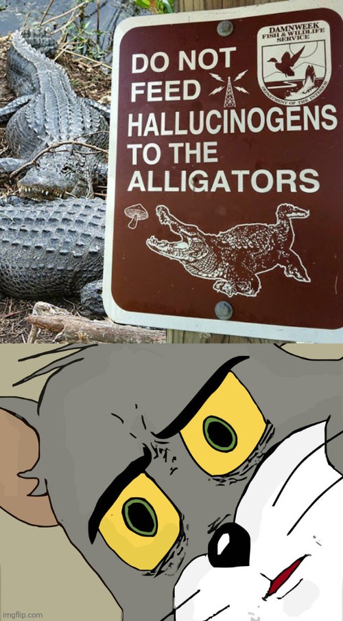 Wot | image tagged in memes,unsettled tom,funny,you had one job just the one,stupid signs,alligators | made w/ Imgflip meme maker