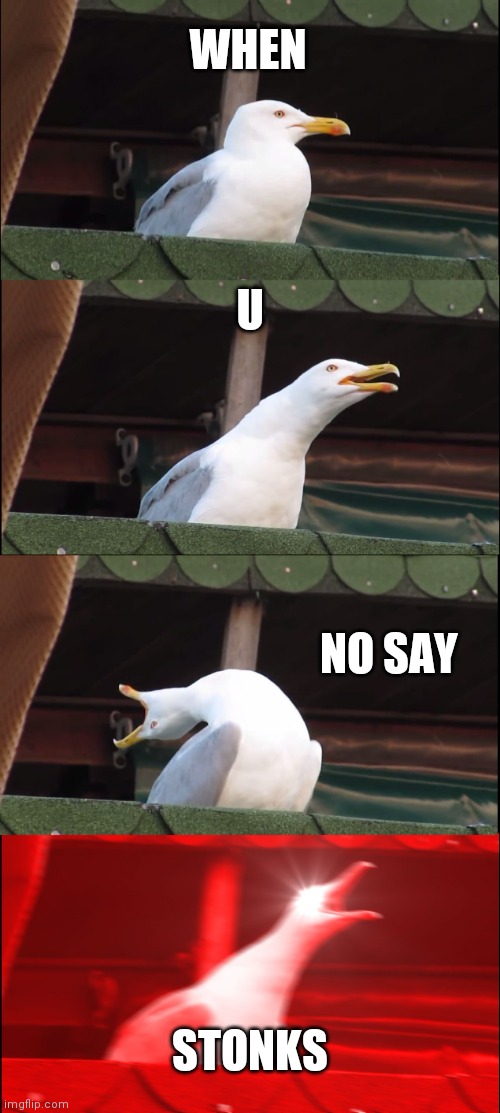 Inhaling Seagull | WHEN; U; NO SAY; STONKS | image tagged in memes,inhaling seagull | made w/ Imgflip meme maker