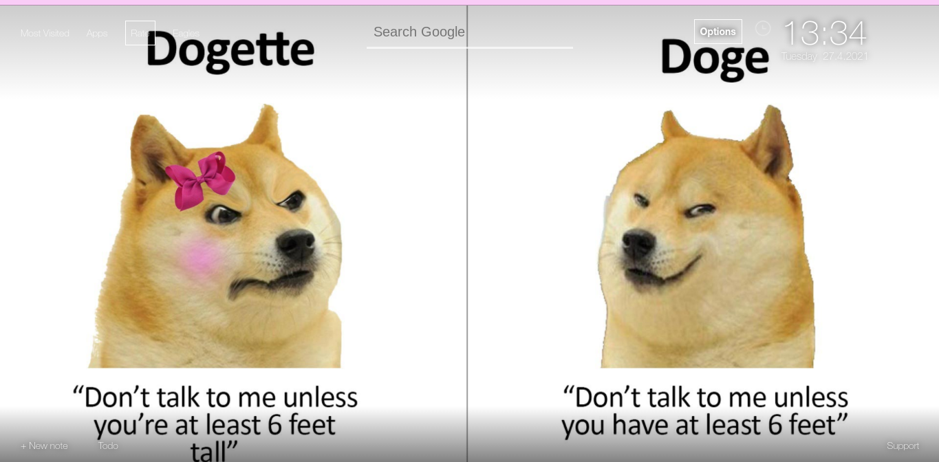 High Quality Doge vs Dogette Blank Meme Template