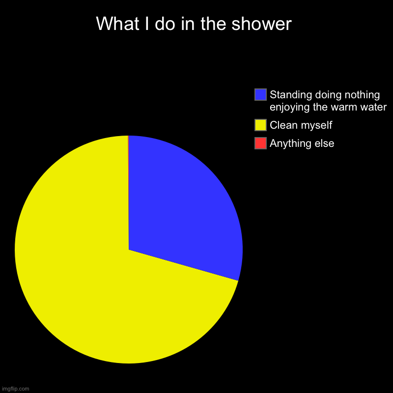 Why is this a trend | What I do in the shower | Anything else, Clean myself, Standing doing nothing enjoying the warm water | image tagged in charts,pie charts | made w/ Imgflip chart maker