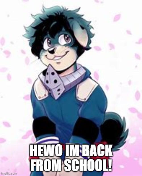 Hi | HEWO IM BACK FROM SCHOOL! | image tagged in furry deku | made w/ Imgflip meme maker
