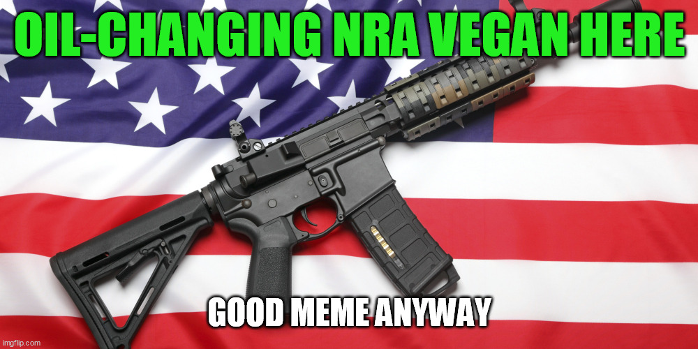 AR-15 and USA Flag | OIL-CHANGING NRA VEGAN HERE GOOD MEME ANYWAY | image tagged in ar-15 and usa flag | made w/ Imgflip meme maker