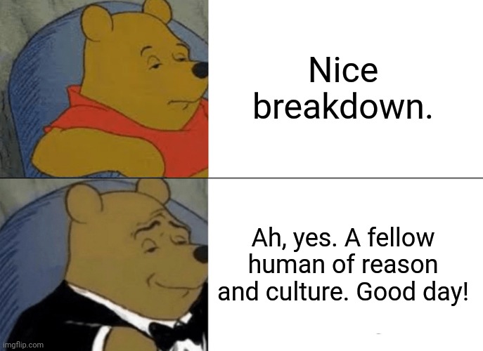 Tuxedo Winnie The Pooh Meme | Nice breakdown. Ah, yes. A fellow human of reason and culture. Good day! | image tagged in memes,tuxedo winnie the pooh | made w/ Imgflip meme maker